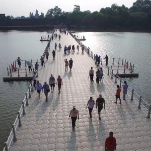 imgi_13_PedestrianbridgeCambodge